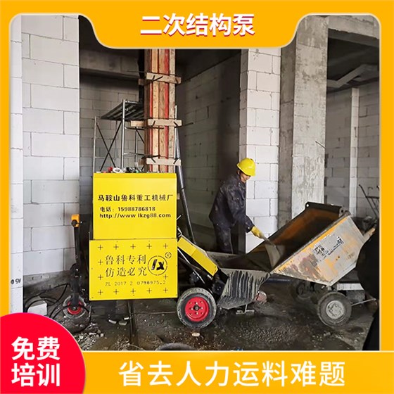 小型二次結構上料泵